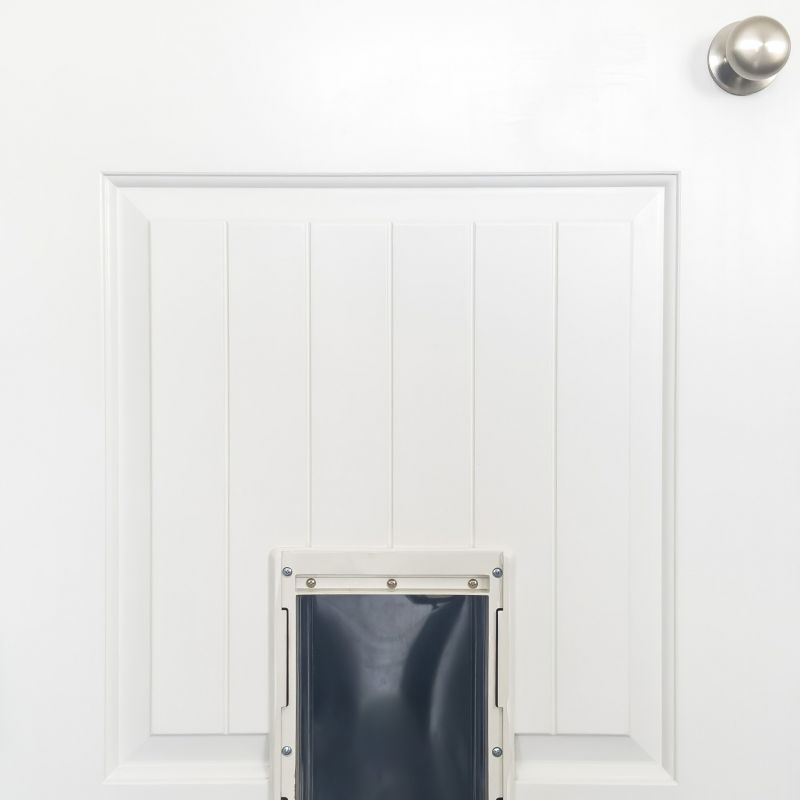 Electronic Dog Doors