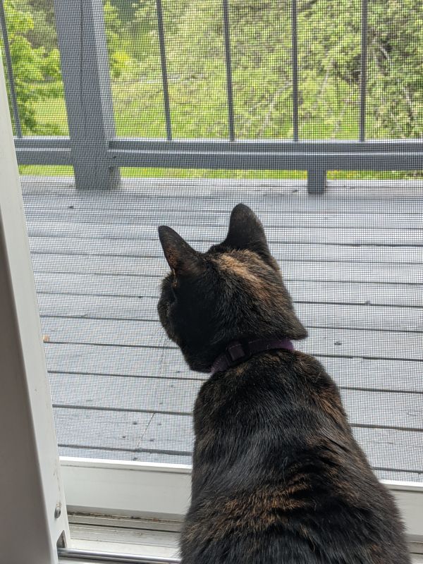 Sliding Door Dog Access